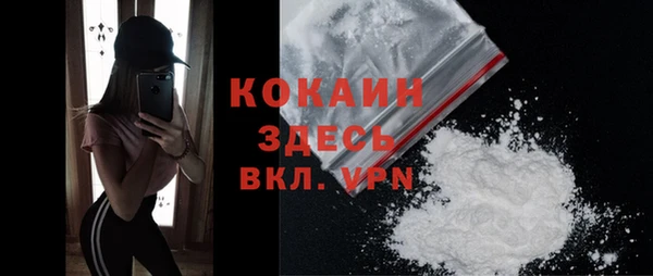 прущая мука Ельня