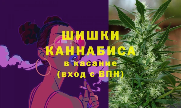 spice Елизово