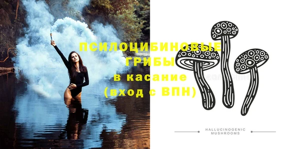 прущая мука Ельня