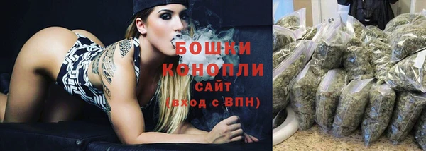 spice Елизово