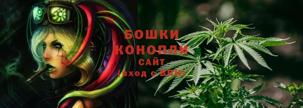 spice Елизово